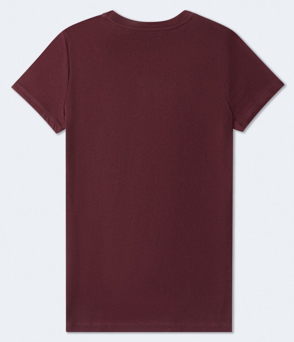 Aéropostale Aero Script Circle Graphic Tee Bloomsberry