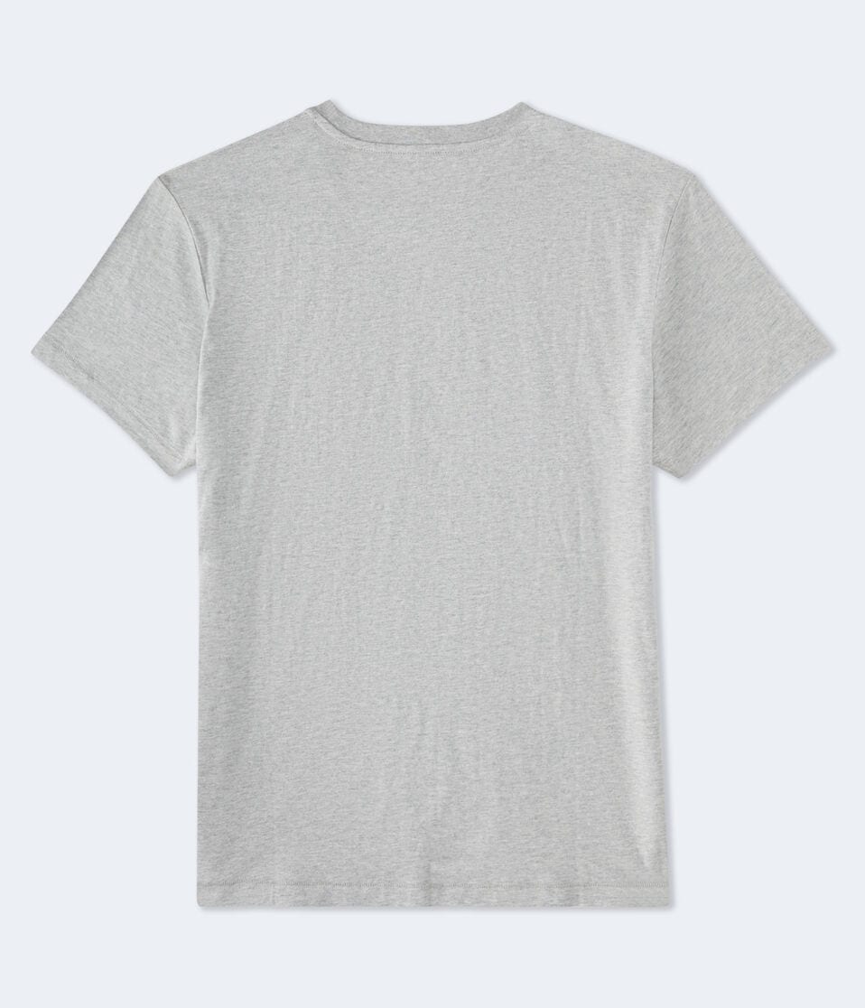 Aéropostale Aero Script Circle Graphic Tee Light Heather Grey