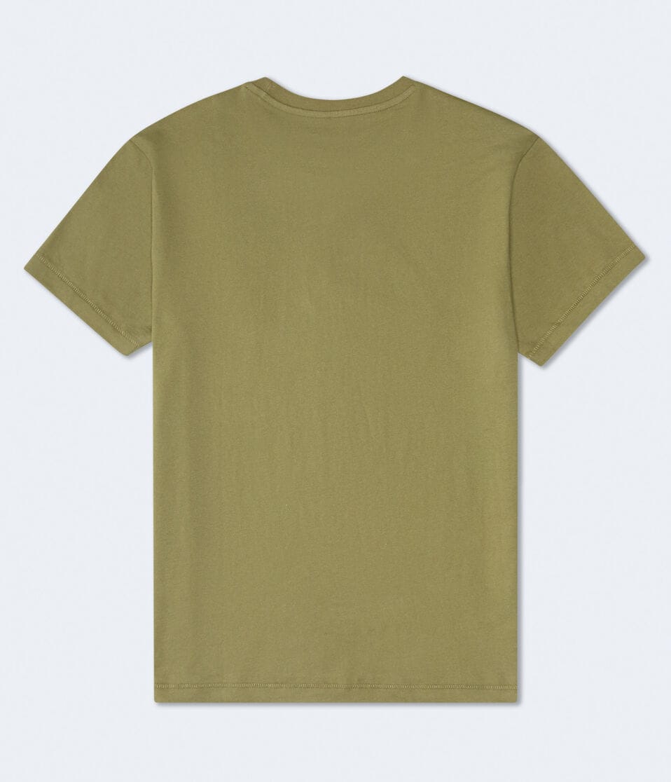 Aéropostale Aero Script Circle Graphic Tee Winter Moss