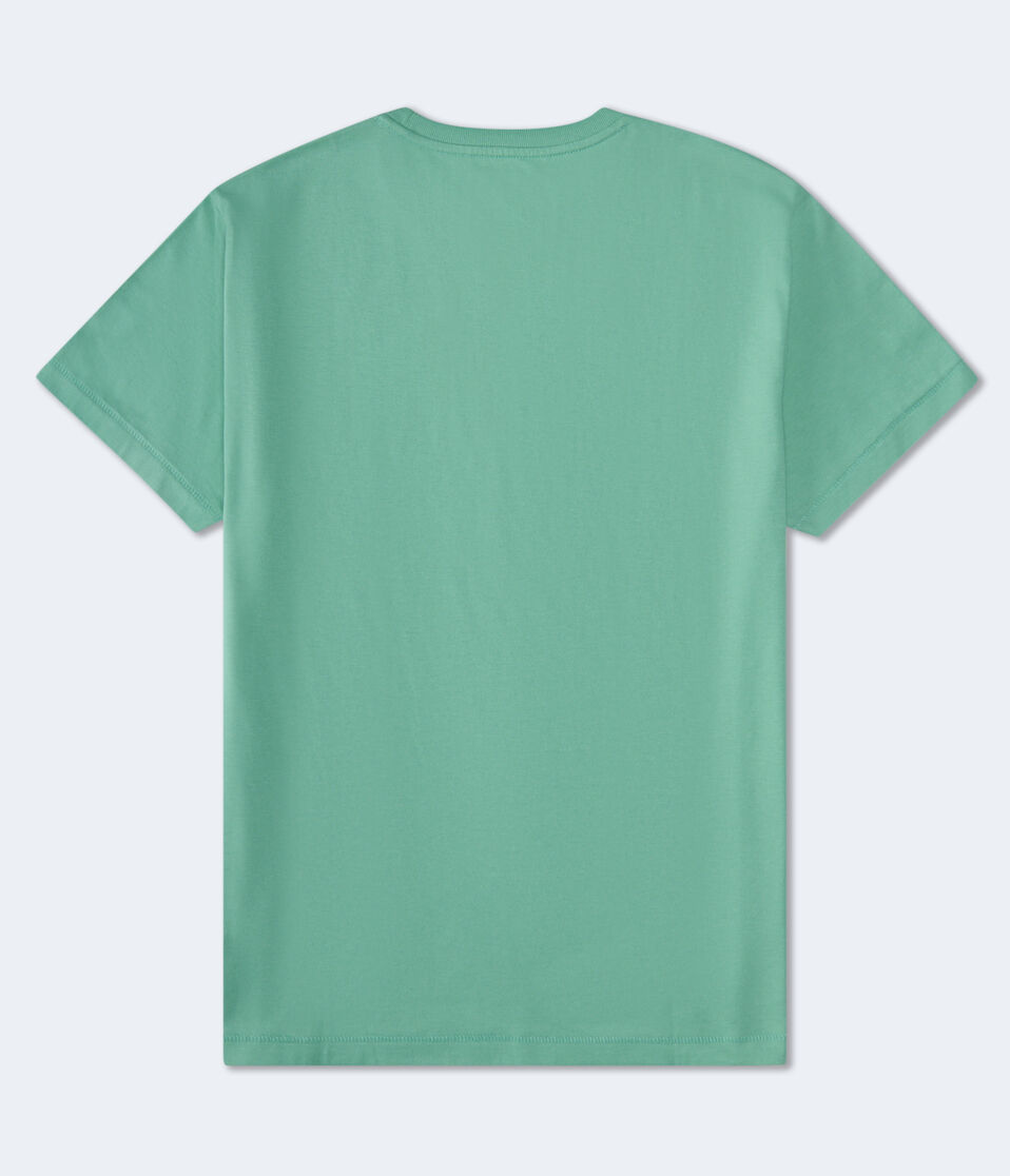 Aéropostale Aero Script Logo Graphic Tee Hedge Green
