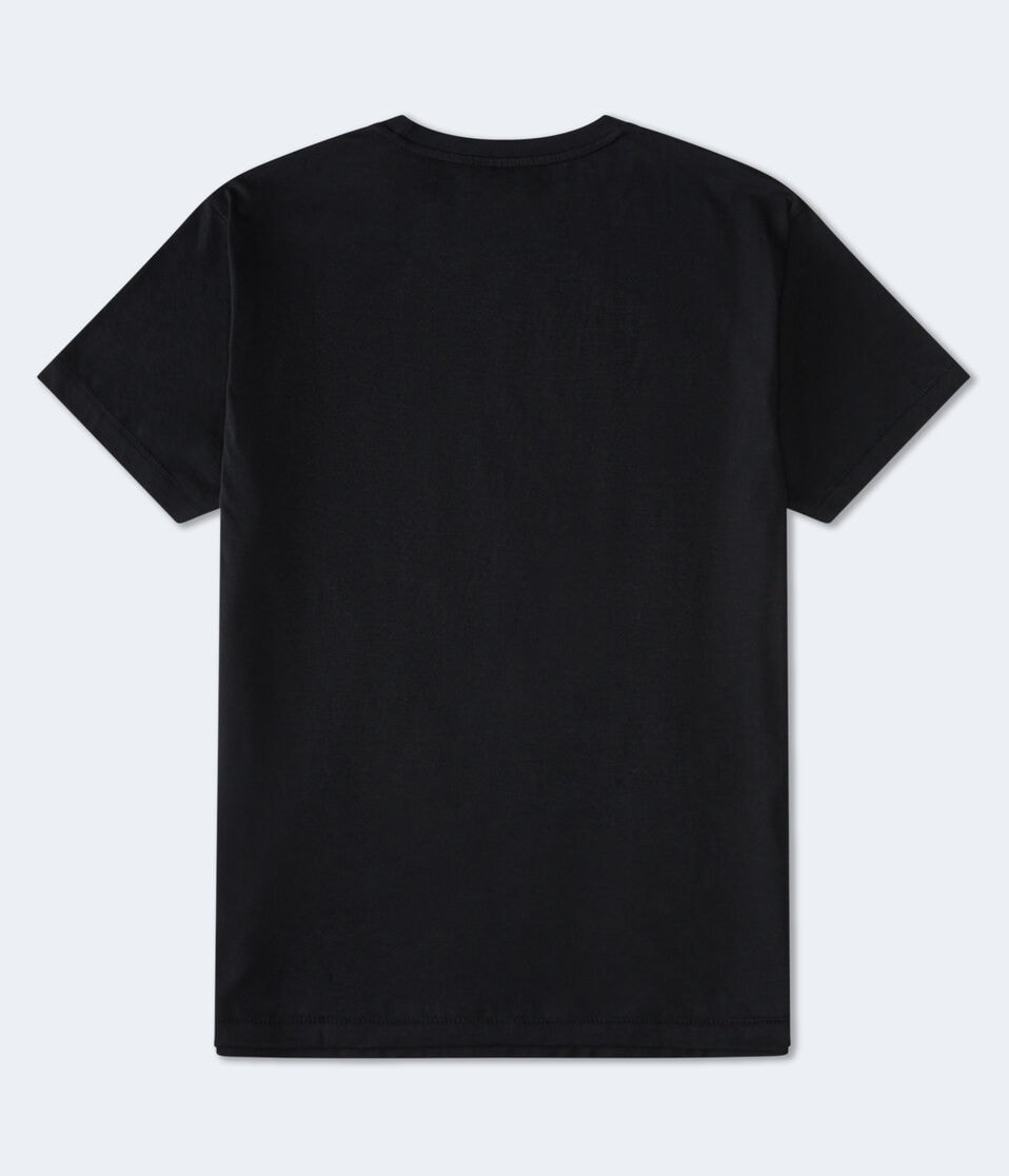 Aéropostale Aero-USA New York Graphic Tee Black Fox