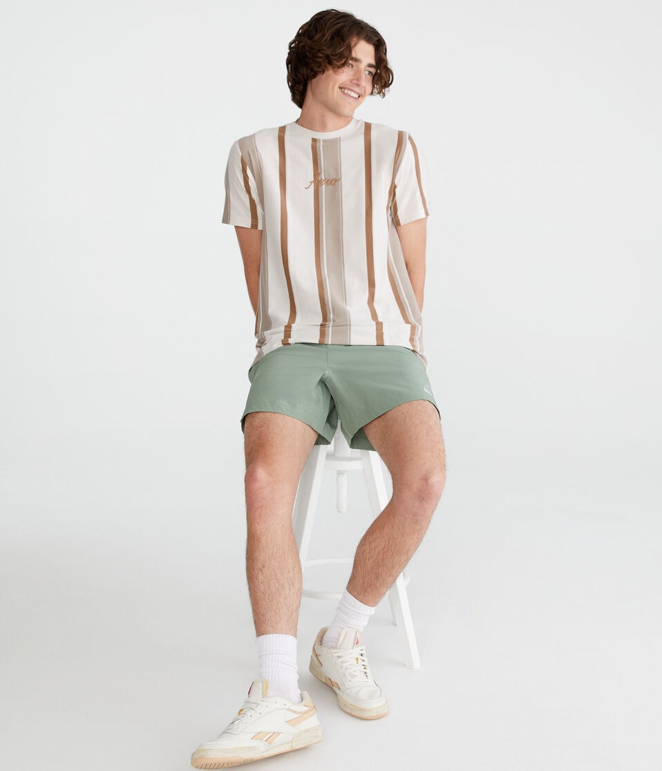 Aéropostale Aero Vertical Stripe Graphic Tee Bungalow