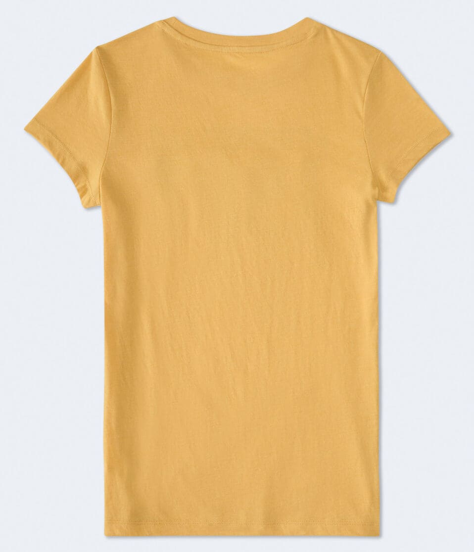 Aéropostale Aeropostale 1987 Appliqué Graphic Tee Dark Yellow