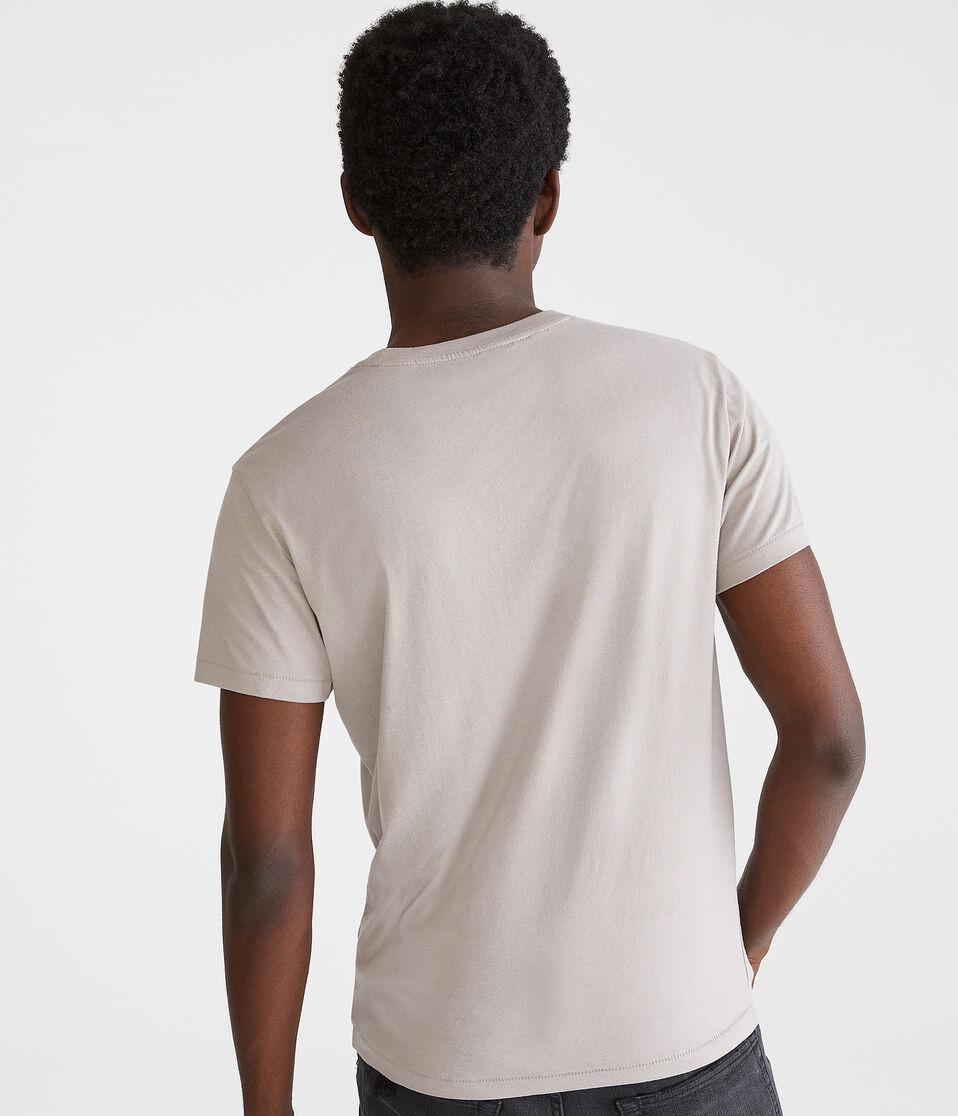 Aéropostale Aeropostale 1987 Arch Appliqué Graphic Tee Wayfarer Grey