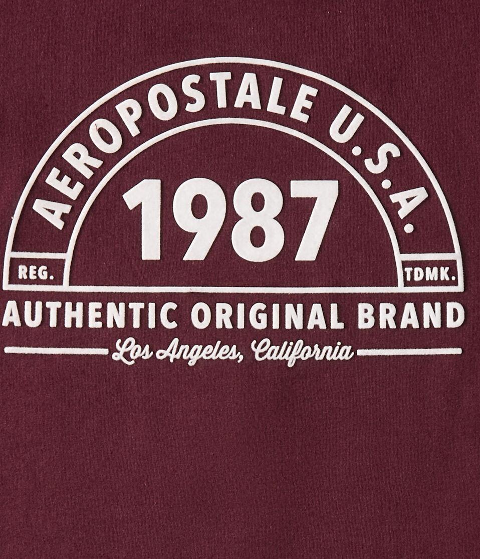 Aéropostale Aeropostale 1987 Arch Flocked Graphic Tee Bloomsberry
