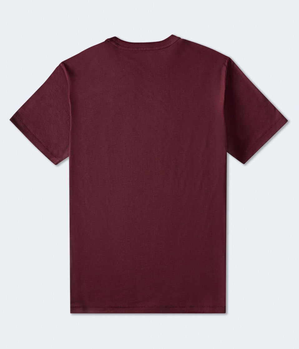 Aéropostale Aeropostale 1987 Arch Flocked Graphic Tee Bloomsberry