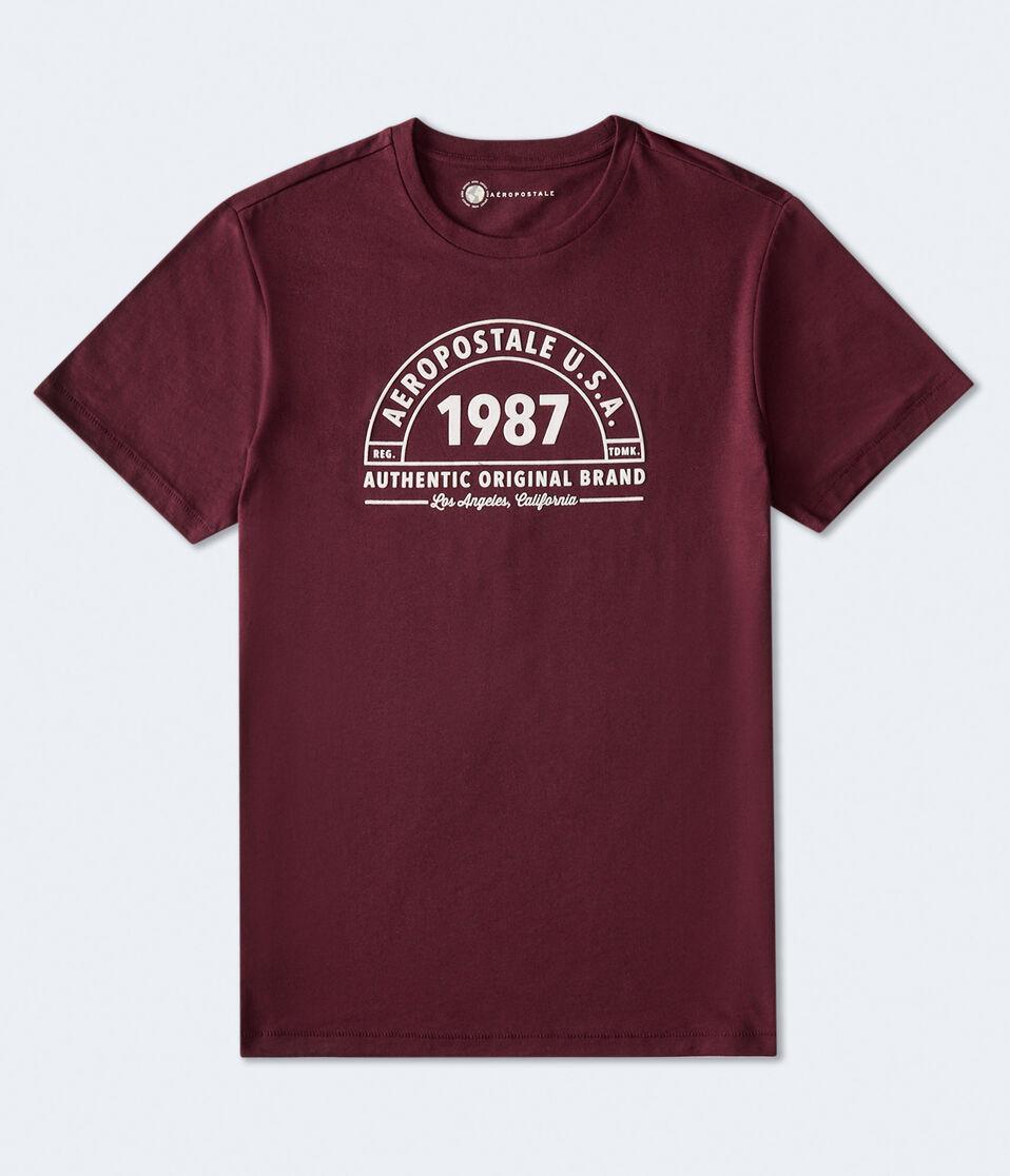 aéropostale Aeropostale 1987 Arch Flocked Graphic Tee bloomsberry