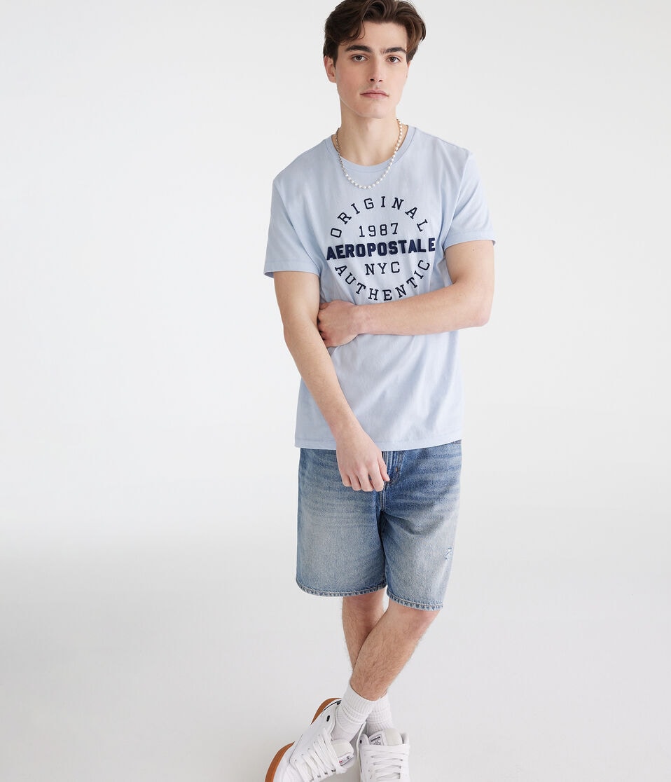 Aéropostale Aeropostale 1987 Circle Appliqué Graphic Tee Spirit Blue