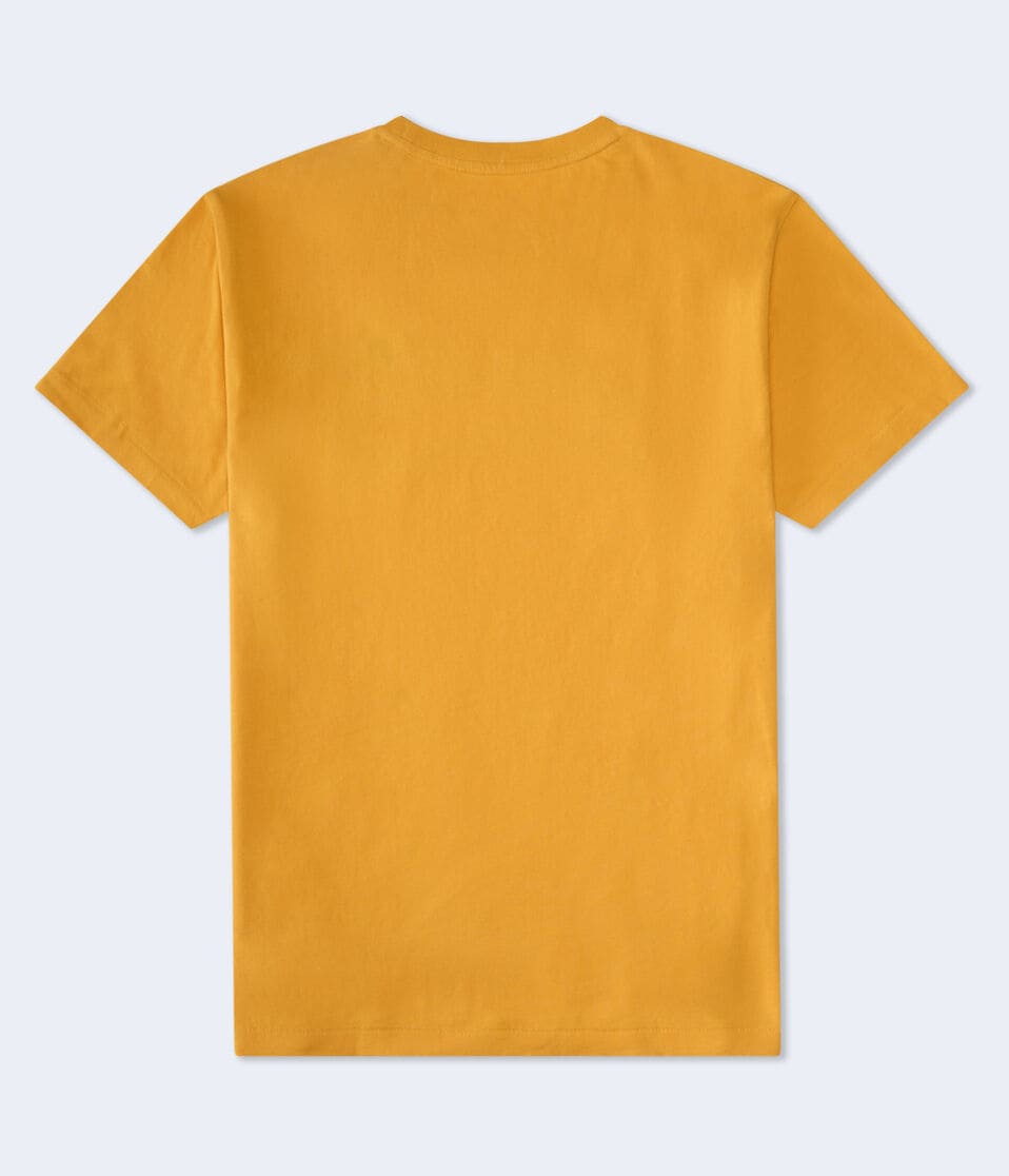 Aéropostale Aeropostale 87 Script Appliqué Graphic Tee Sunflower