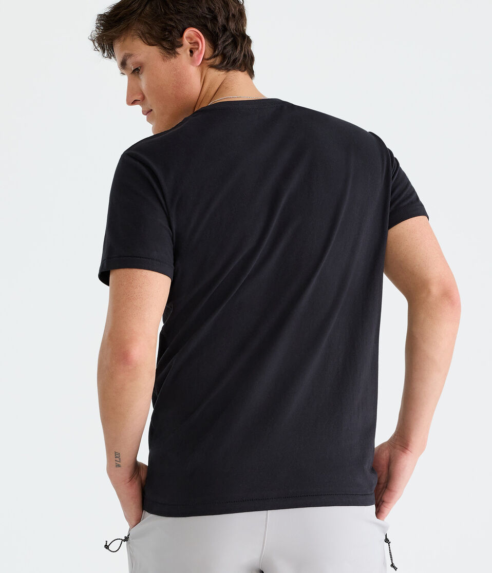 Aéropostale A1987 Box Graphic Tee Black Fox