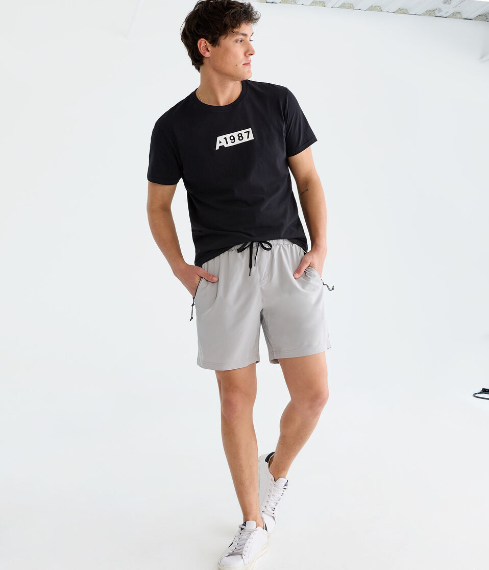 Aéropostale A1987 Box Graphic Tee Black Fox