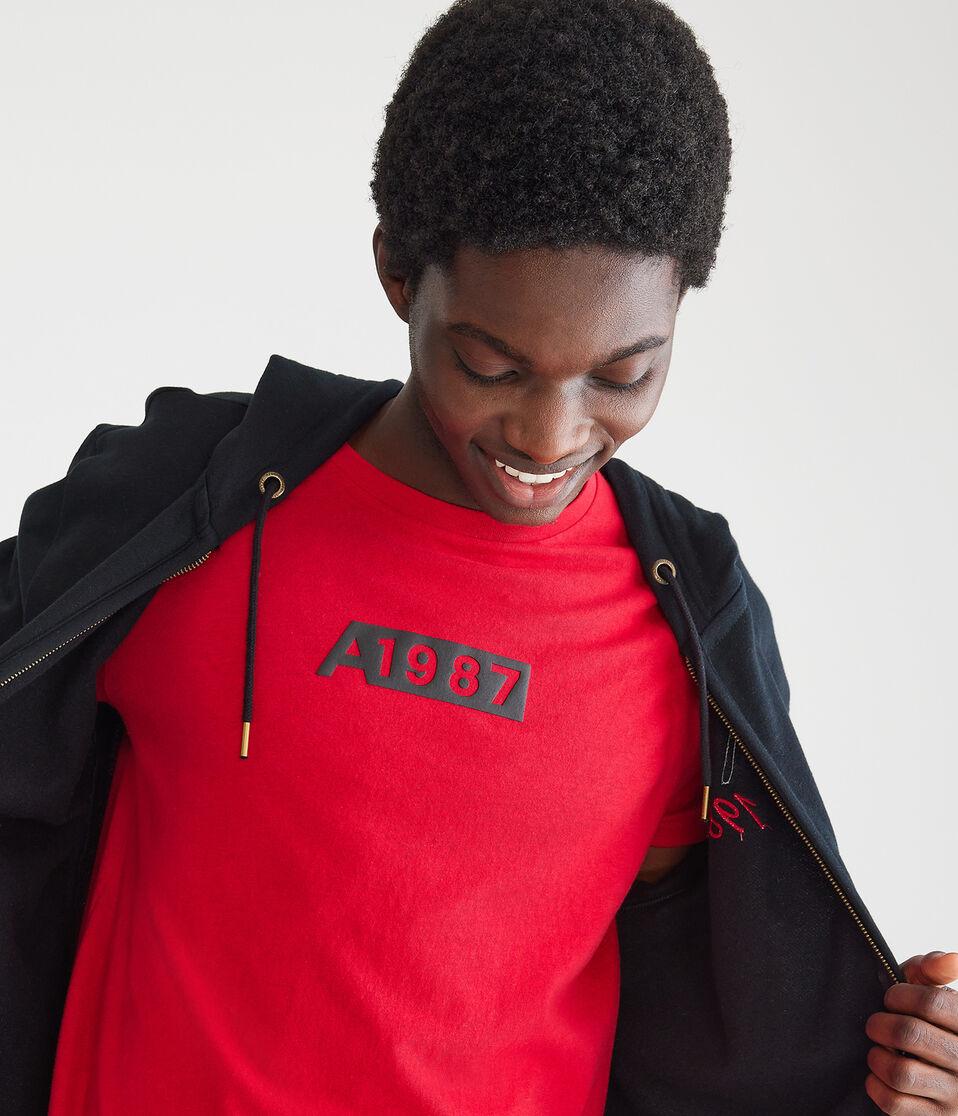 Aéropostale A1987 Box Graphic Tee Grenadine