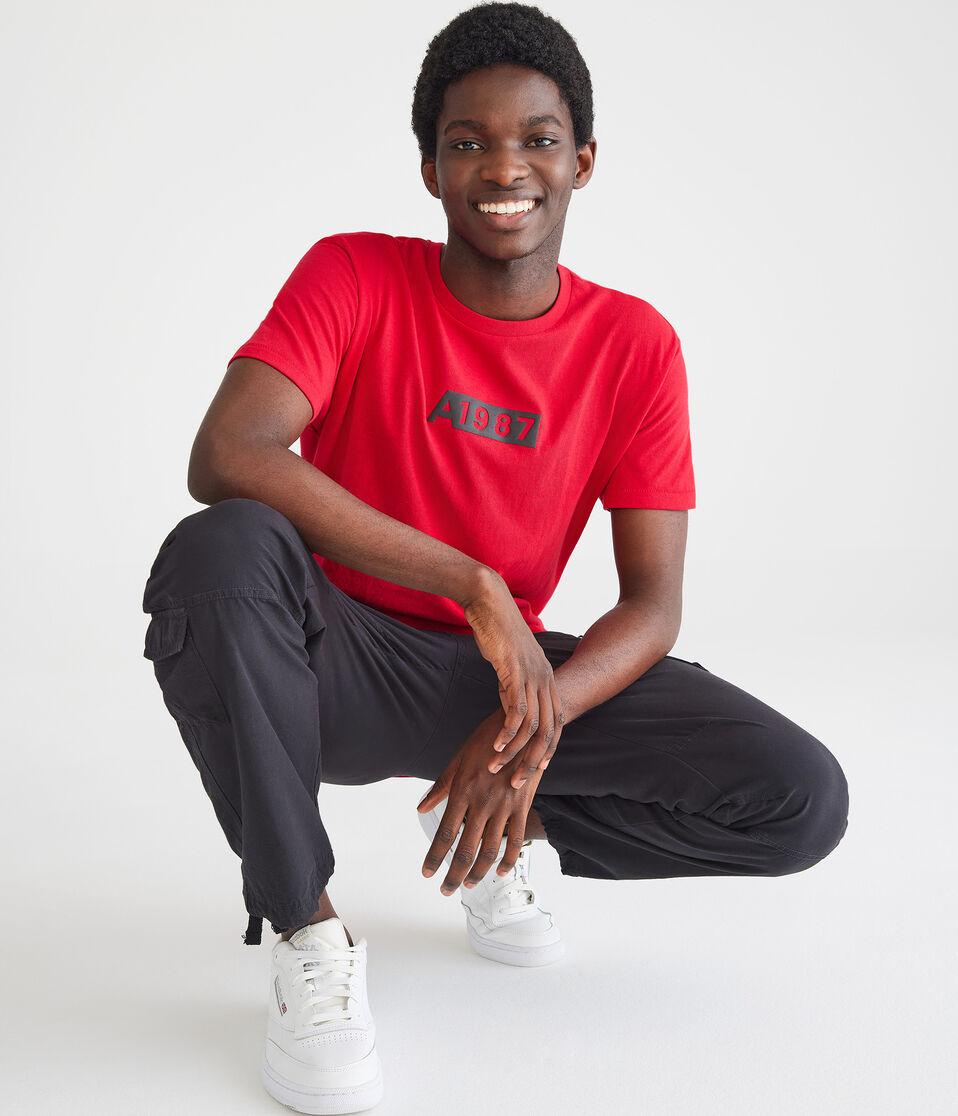 aéropostale A1987 Box Graphic Tee grenadine