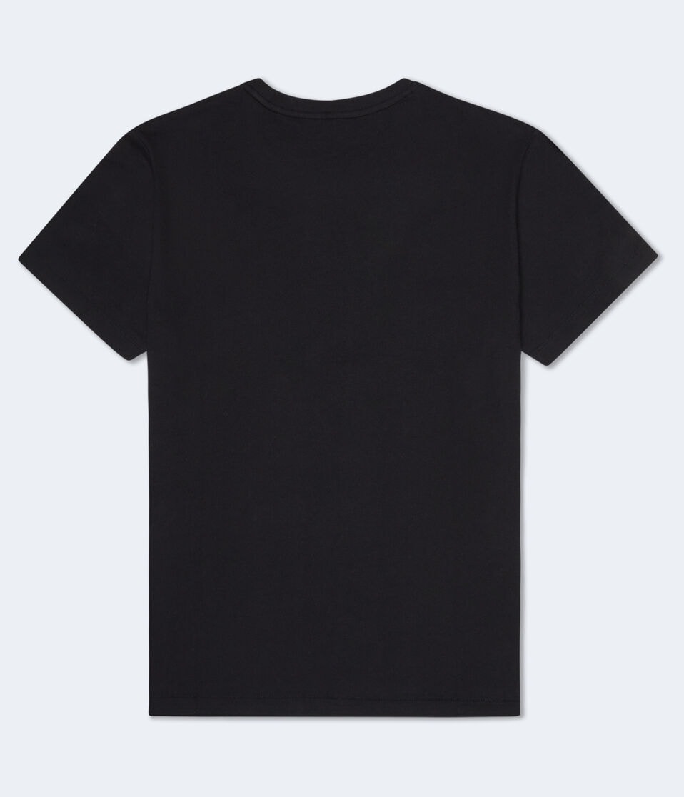 Aéropostale Aero 87 Appliqué Graphic Tee Black Fox