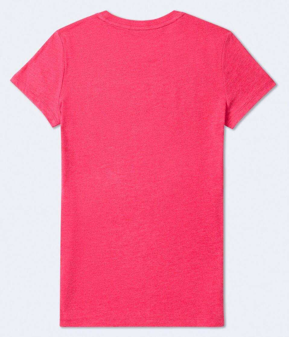 Aéropostale Aero 87 Appliqué Graphic Tee Red Cedar
