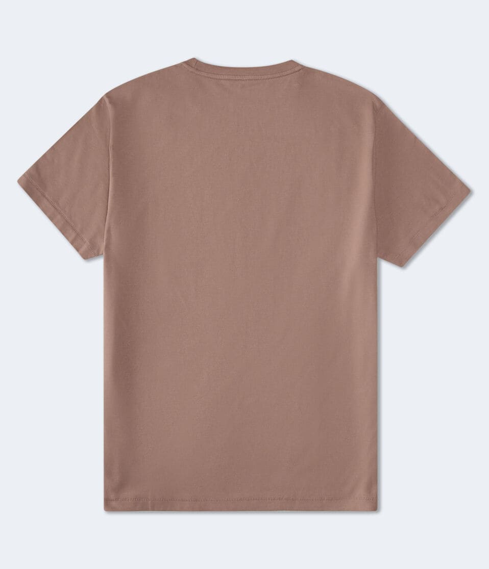 Aéropostale Aero 87 Flocked Graphic Tee Cool Beige