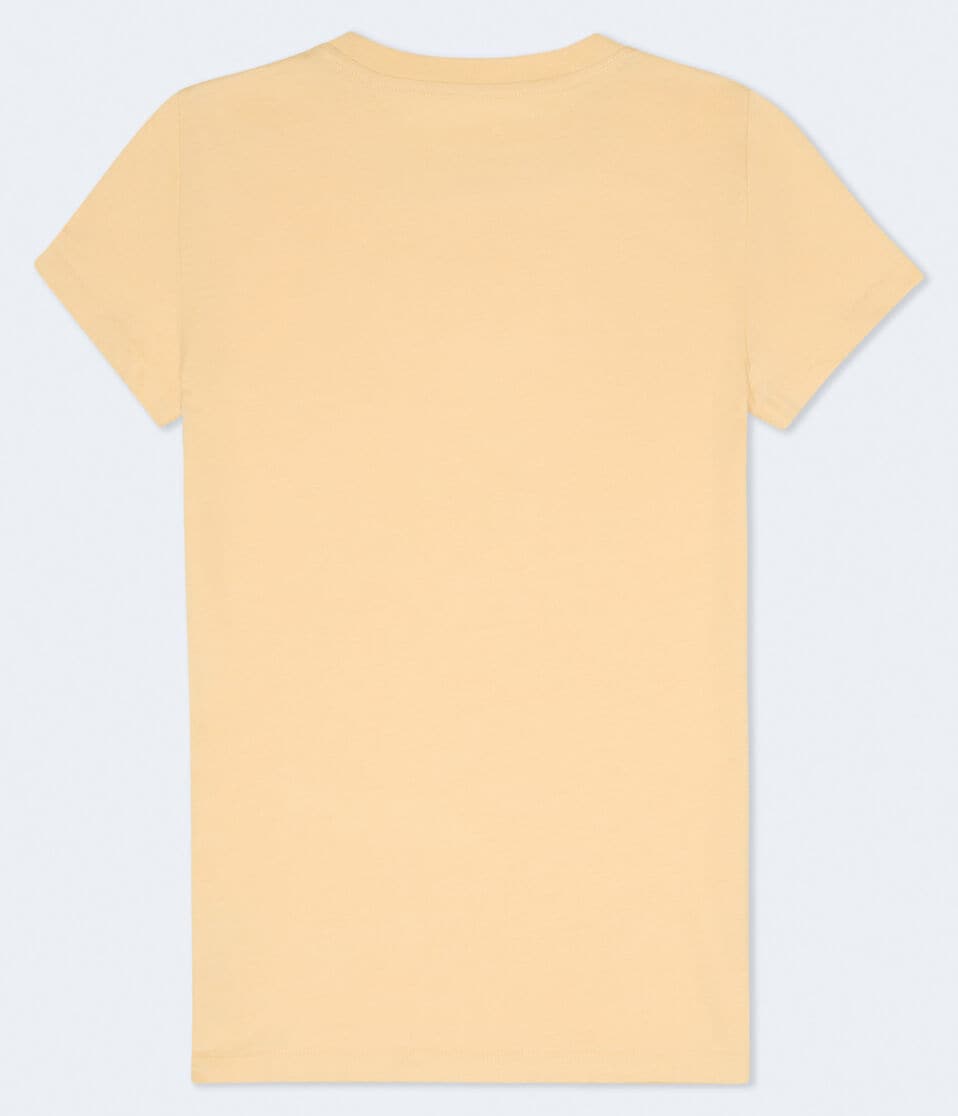 Aéropostale Aero '87 Floral Graphic Tee Baby Corn