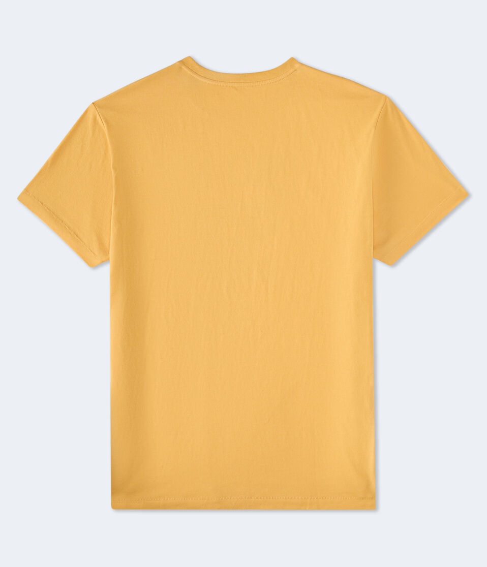 Aéropostale Aero NYC Oval Graphic Tee Dark Yellow