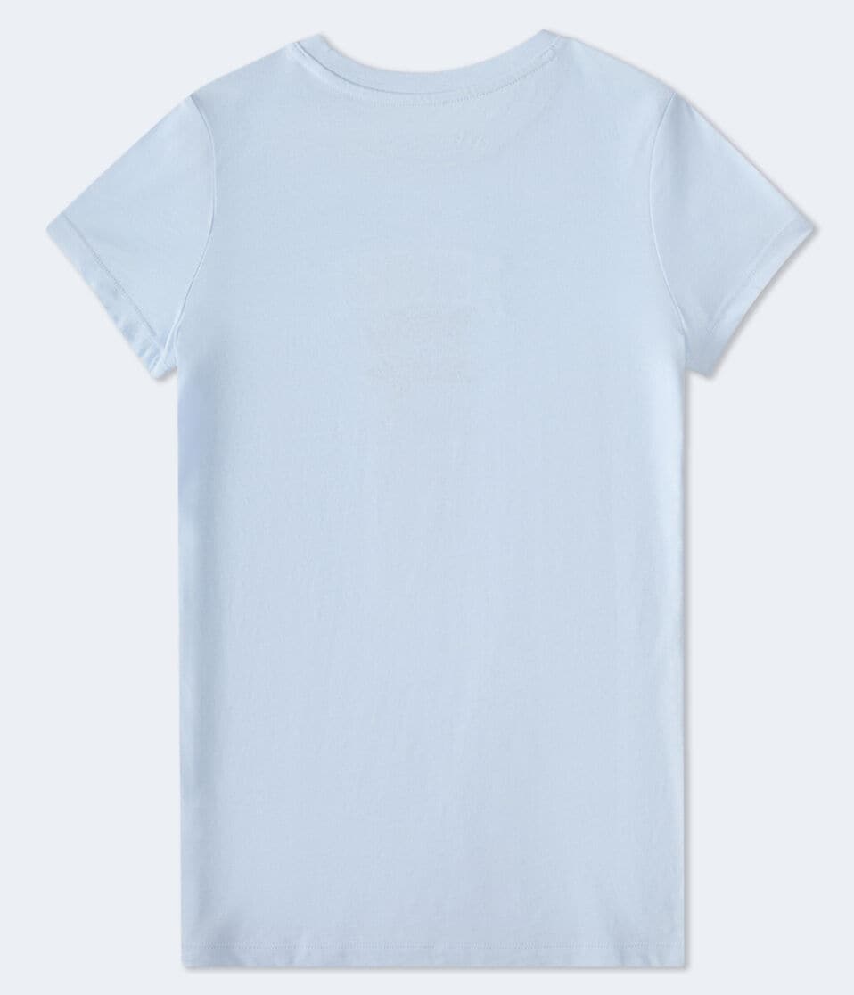 Aéropostale Aero87 Rose Graphic Tee Blue Haze