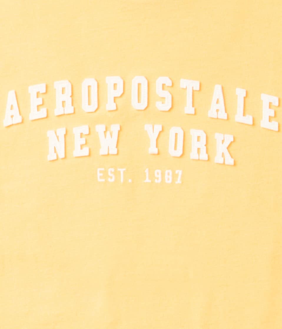 Aéropostale Aeropostale Arch Appliqué Graphic Tee Dark Yellow