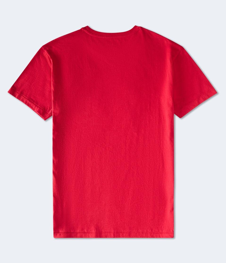 Aéropostale Aeropostale Arch Appliqué Graphic Tee Grenadine