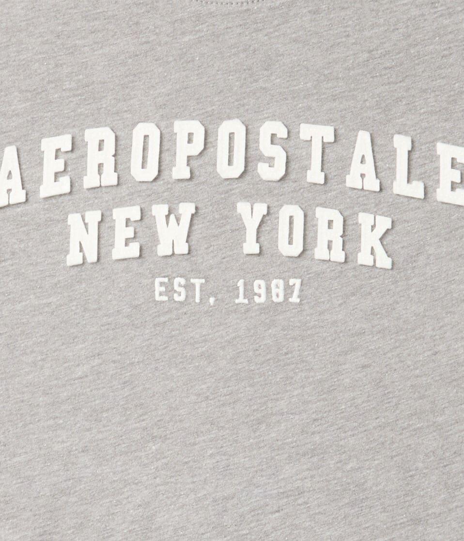 Aéropostale Aeropostale Arch Appliqué Graphic Tee Med Hthr Grey
