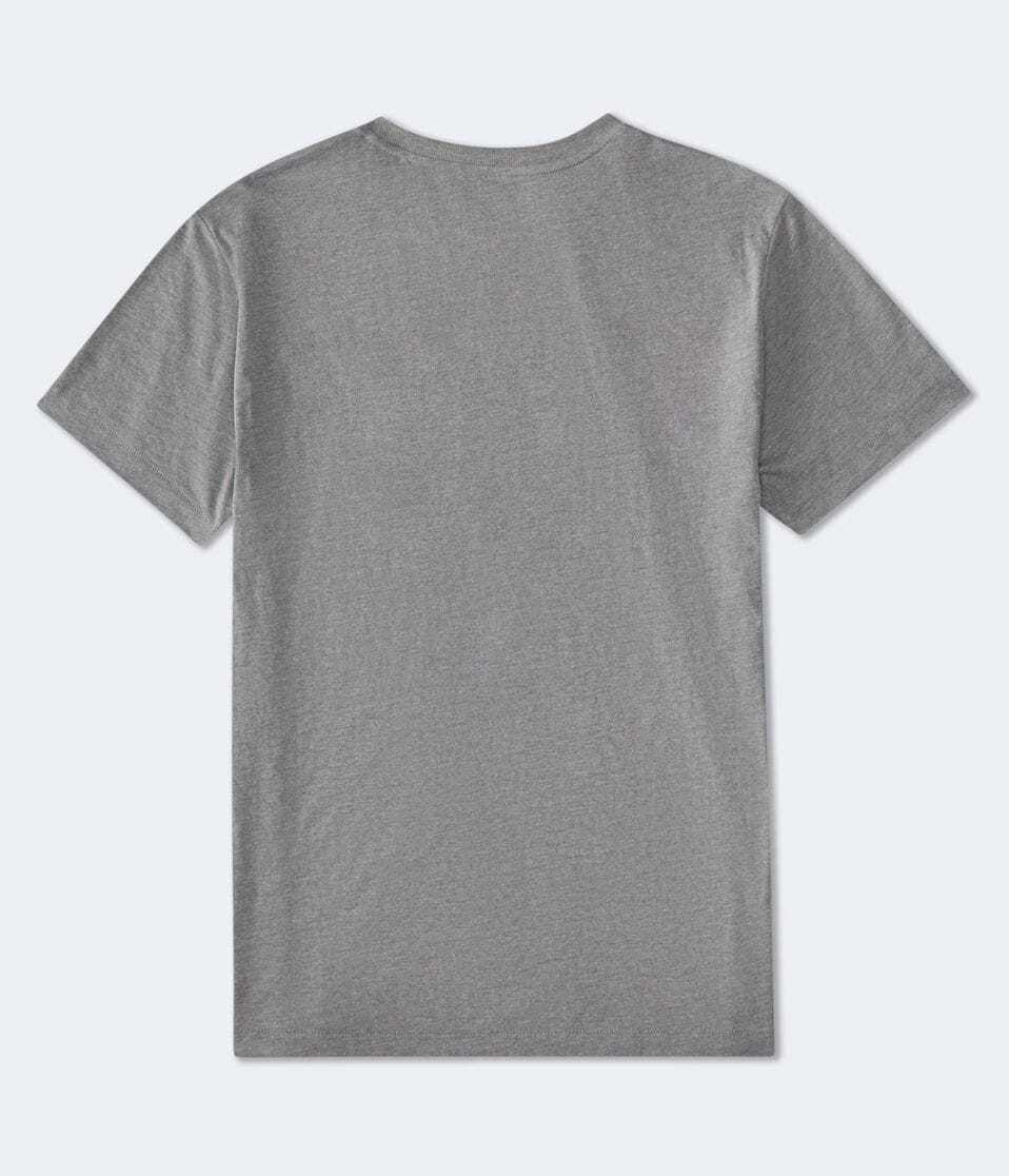 Aéropostale Aeropostale Arch Flocked Graphic Tee Med Hthr Grey