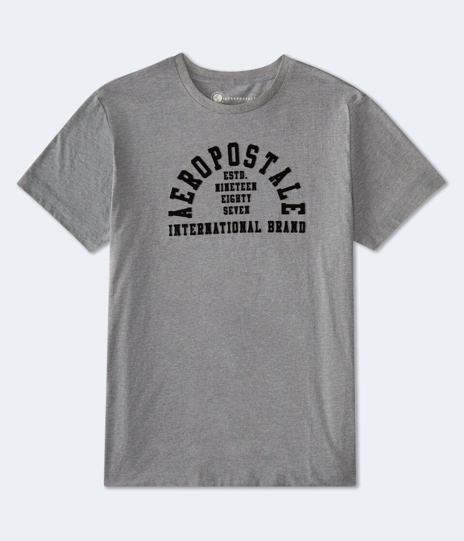 aéropostale Aeropostale Arch Flocked Graphic Tee med hthr grey