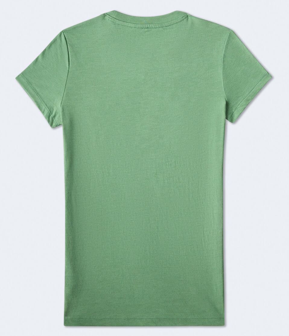 Aéropostale Aeropostale Athletics Appliqué Graphic Tee Tree Frog