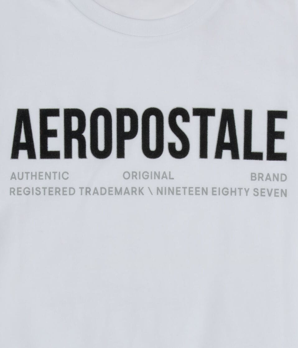 Aéropostale Aeropostale Authentic Logo Flocked Graphic Tee Bleach