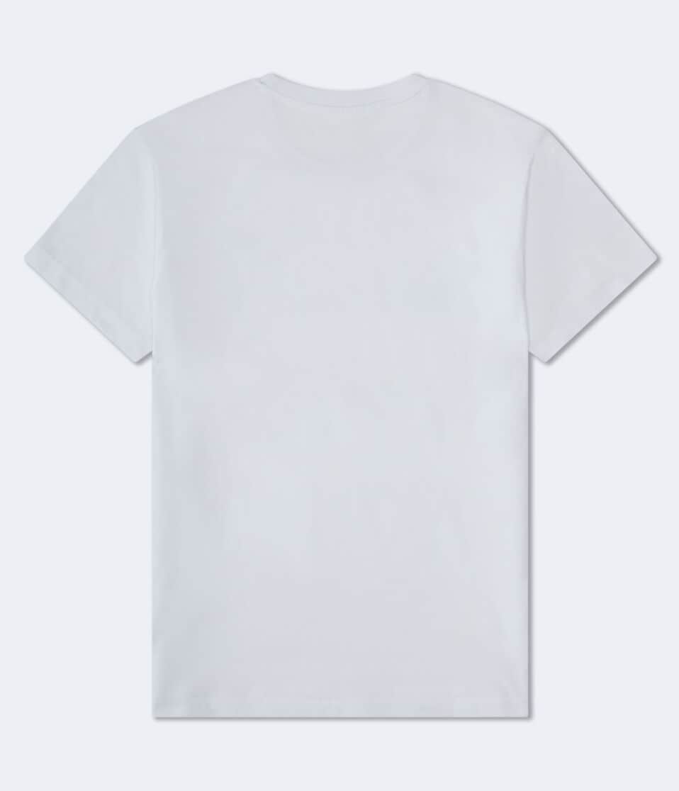 Aéropostale Aeropostale Authentic Logo Flocked Graphic Tee Bleach