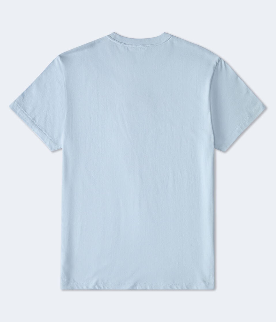 Aéropostale Aeropostale Authentic Logo Flocked Graphic Tee Blue Haze