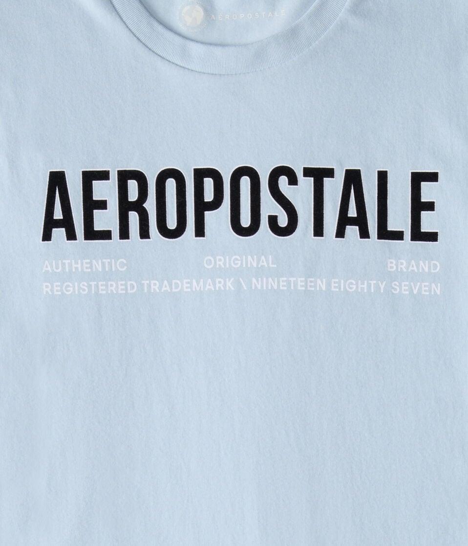 Aéropostale Aeropostale Authentic Logo Flocked Graphic Tee Blue Haze