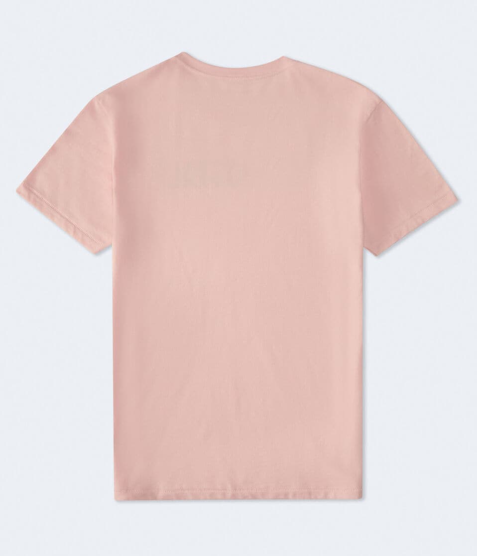 Aéropostale Aeropostale Authentic Logo Flocked Graphic Tee Impatiens Pink