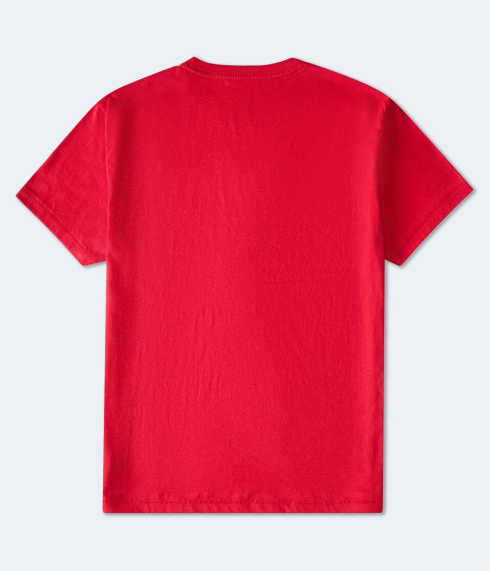Aéropostale Aeropostale Authentic Logo Flocked Graphic Tee Vinyl Red