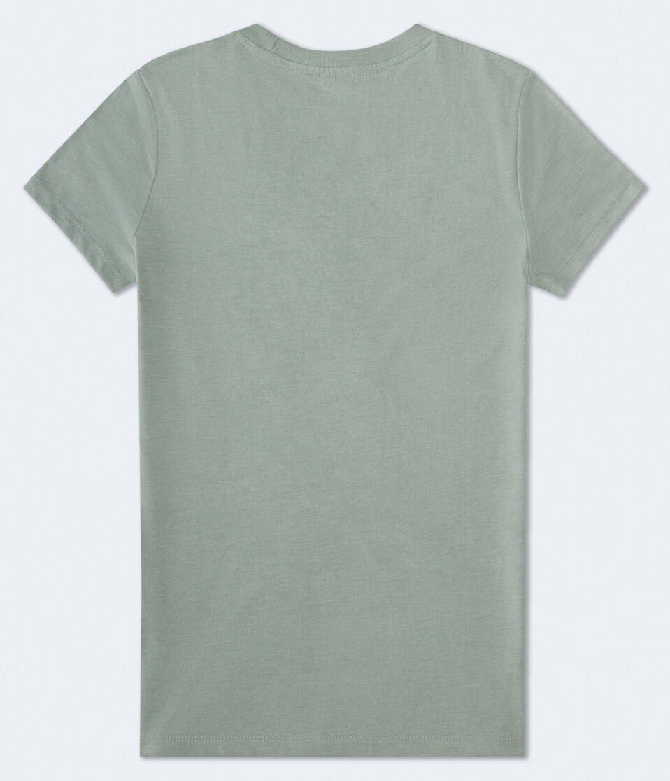 Aéropostale Aeropostale Bow Circle Foil Graphic Tee Dusty Rosemary