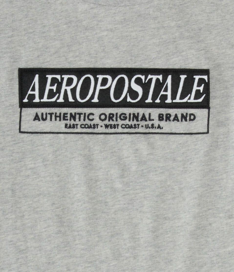Aéropostale Aeropostale Box Logo Appliqué Graphic Tee Light Heather Grey