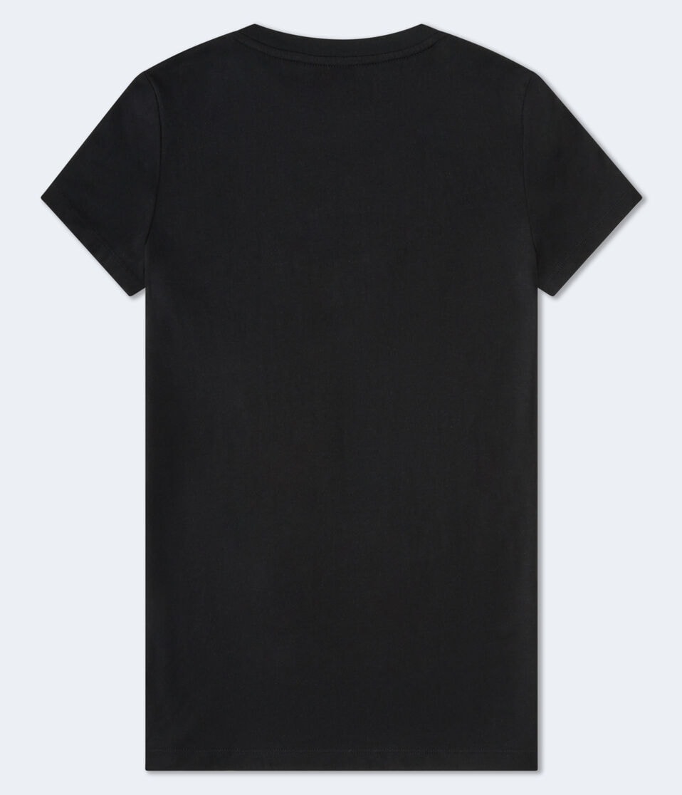 Aéropostale Aeropostale Butterfly Flocked Graphic Tee Black Fox