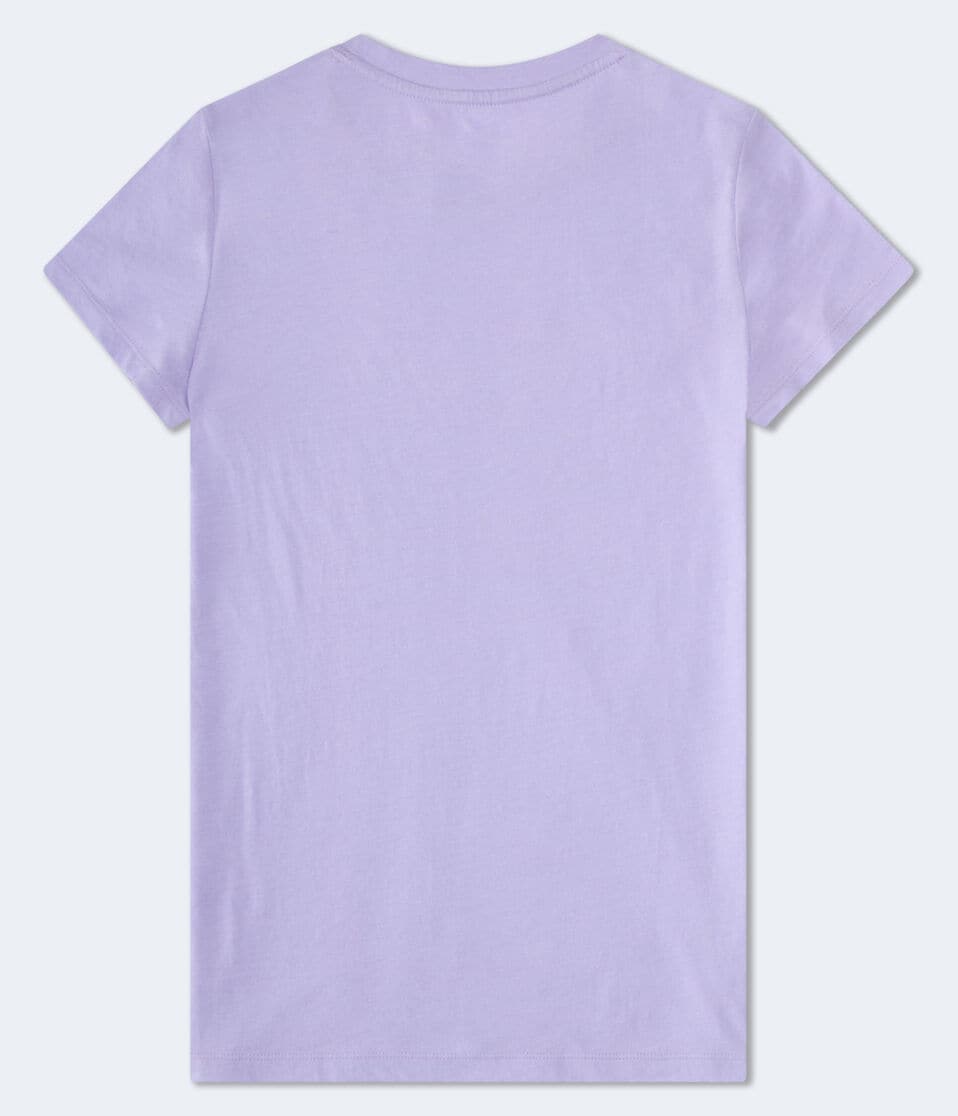 Aéropostale Aeropostale Butterfly Flocked Graphic Tee Lilac Holiday