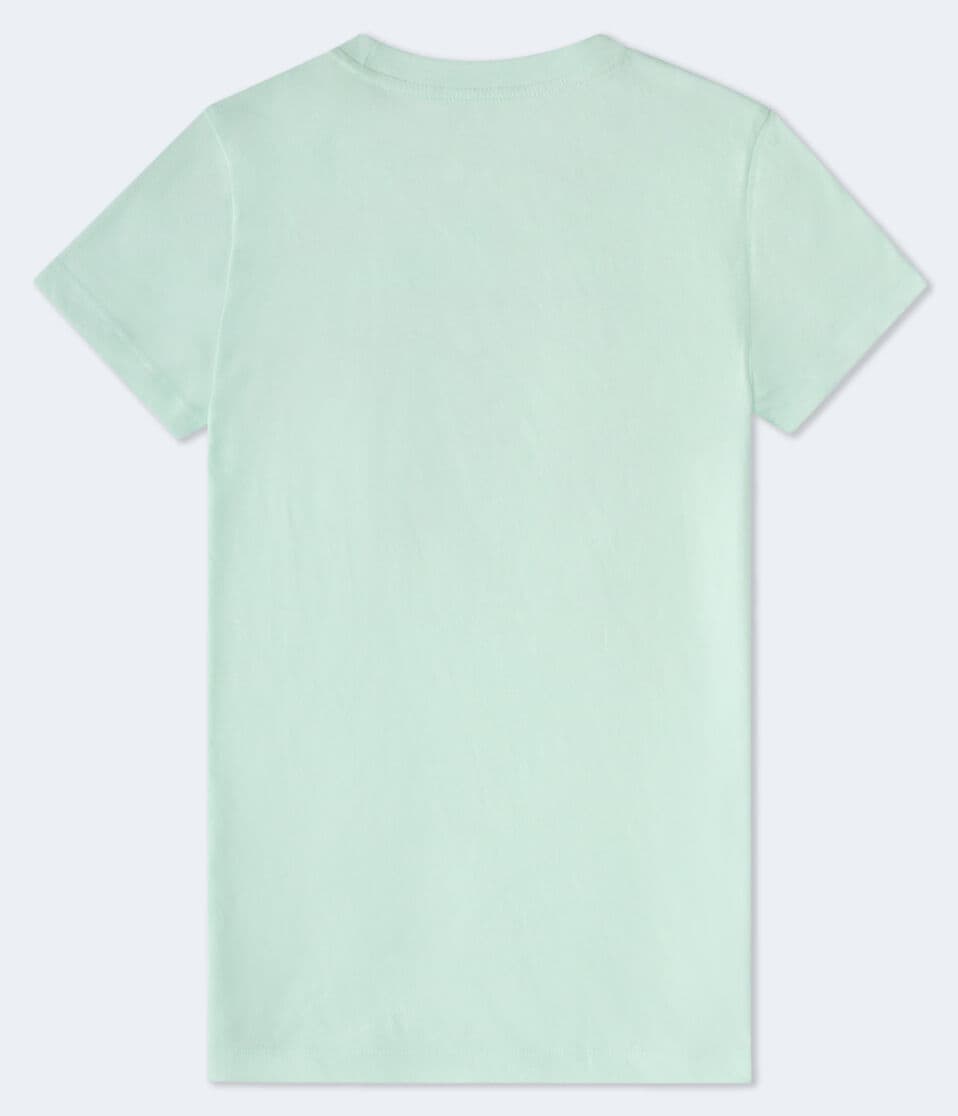 Aéropostale Aeropostale Butterfly Glitter Graphic Tee Green Bay