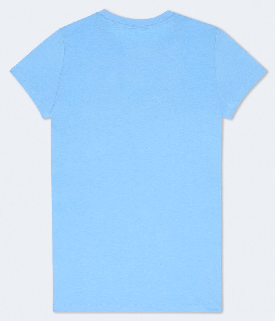 Aéropostale Aeropostale Butterfly Laurels Foil Graphic Tee Pearl Blue