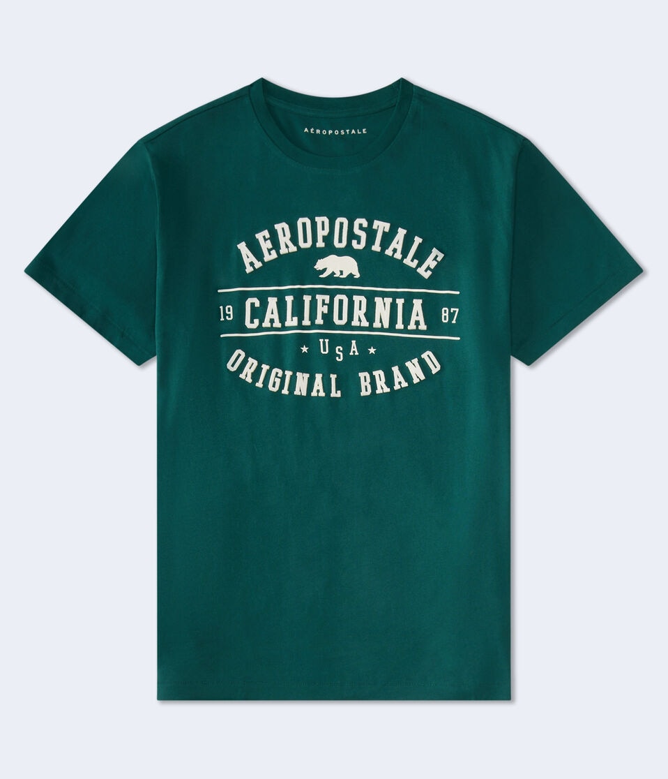 aéropostale Aeropostale Cali Bear Appliqué Graphic Tee aspen aura