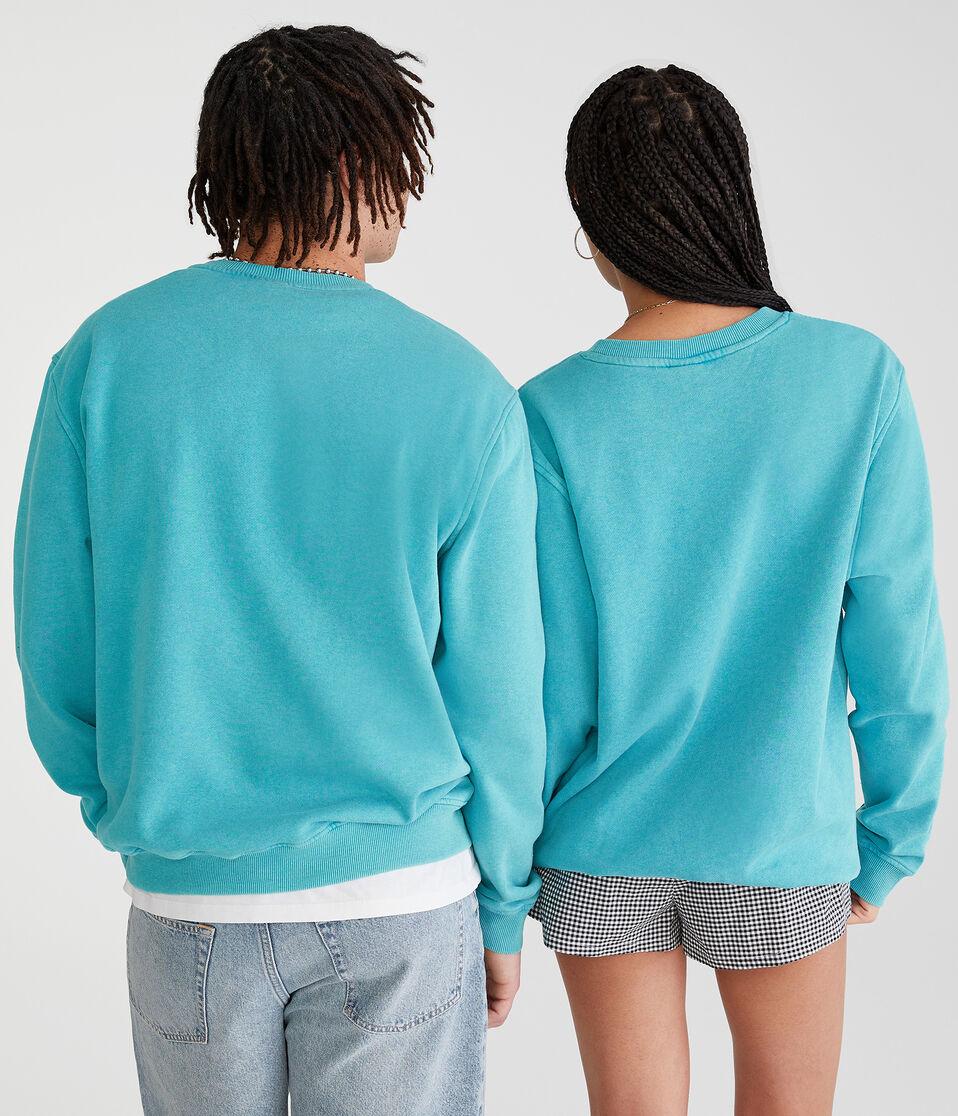 Aéropostale Charlotte Hornets Crew Sweatshirt Teal