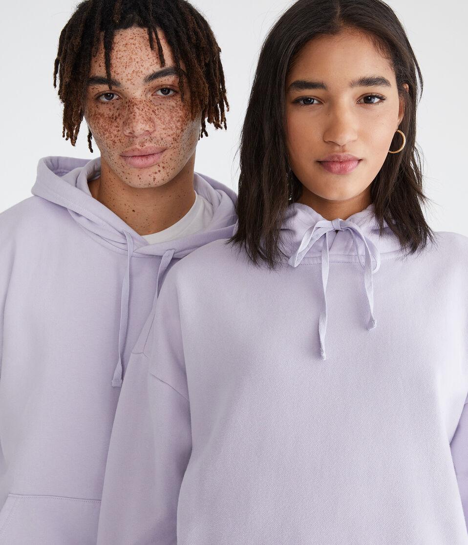 Aéropostale Cloud Soft Pullover Hoodie Elderberry