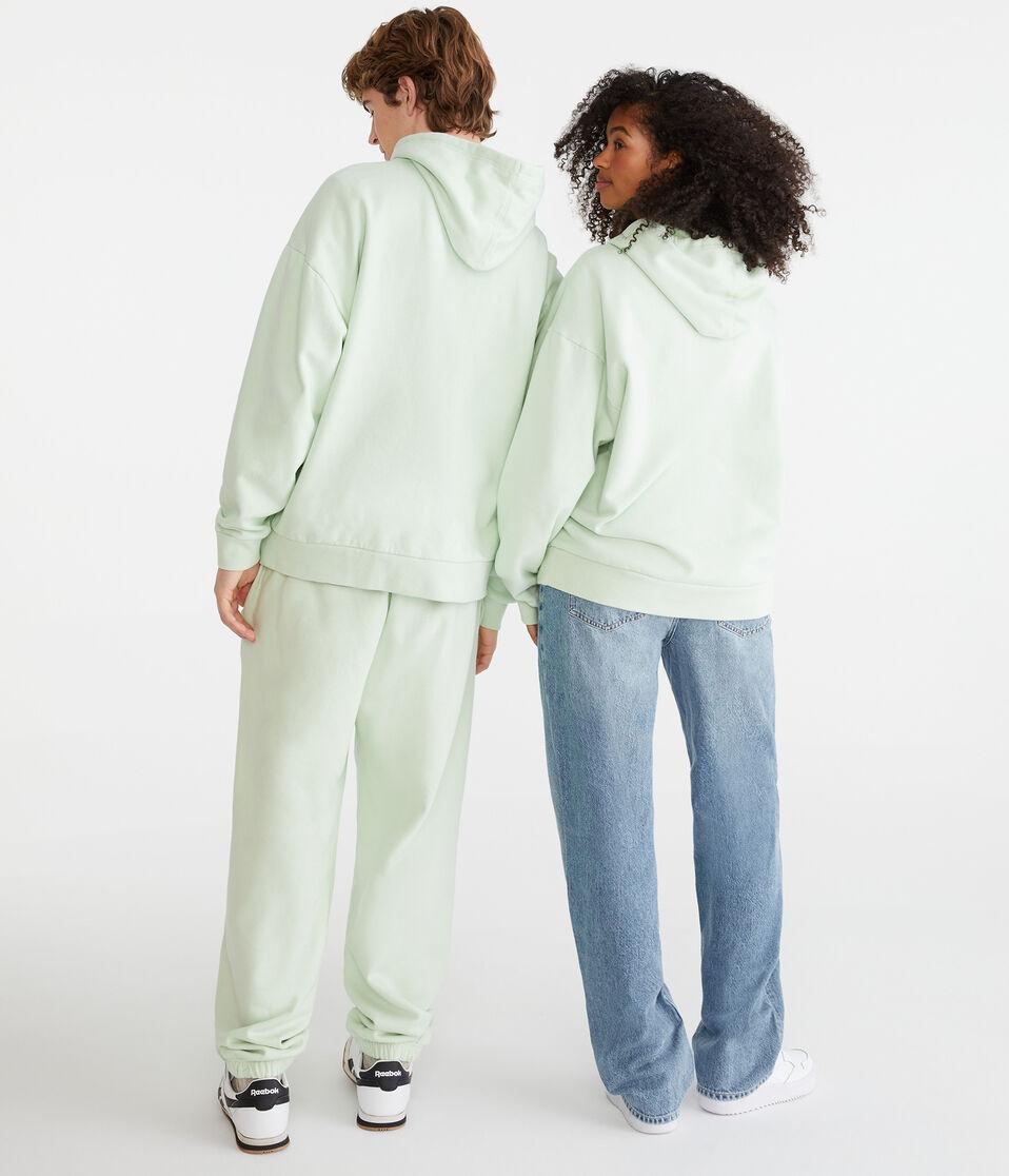 Aéropostale Cloud Soft Pullover Hoodie Pale Vista