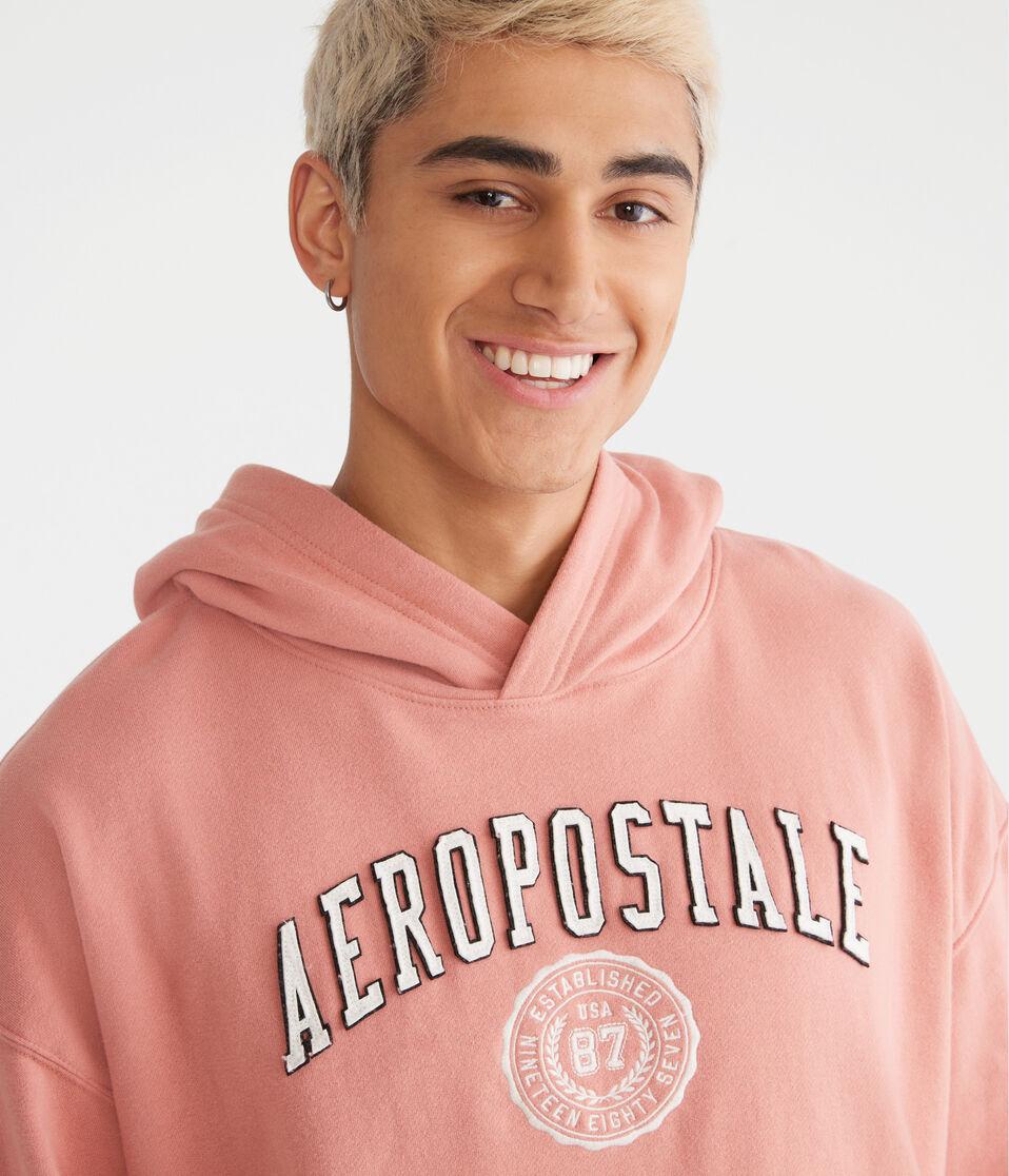 Aéropostale Aeropostale Crest Logo Pullover Hoodie Regent Red