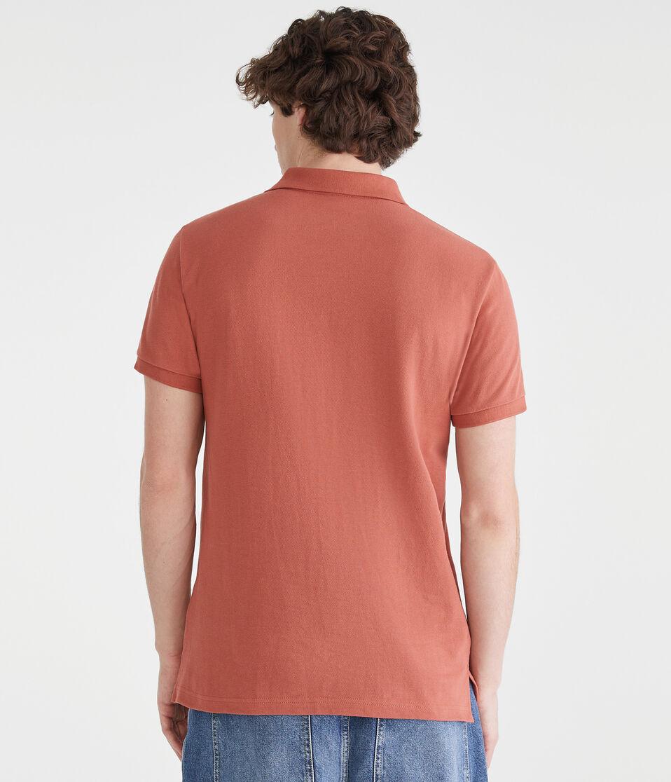 Aéropostale Eco A87 Logo Piqué Polo Antler Brown