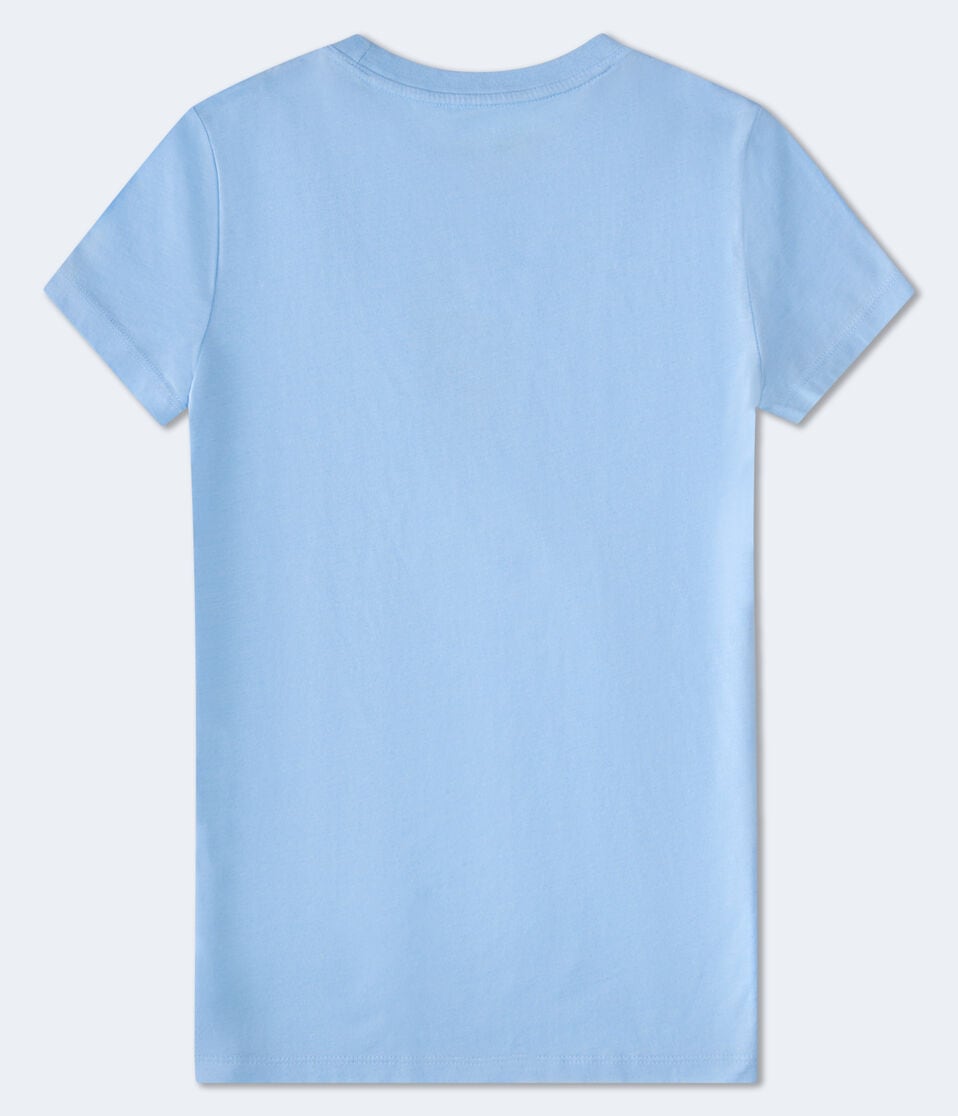 Aéropostale Aeropostale Floral Flocked Graphic Tee Atlantic Deep