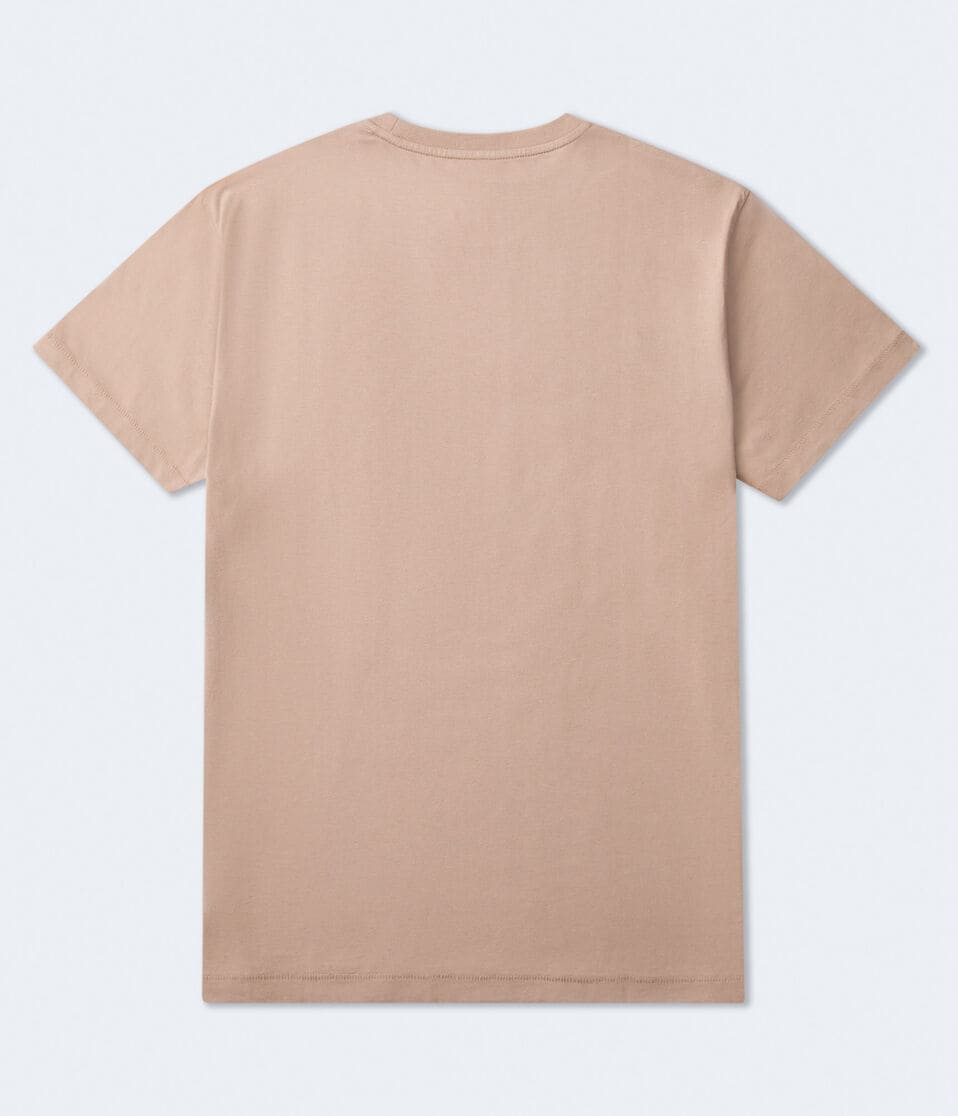 Aéropostale Aeropostale Laurel Circle Flocked Graphic Tee Camel