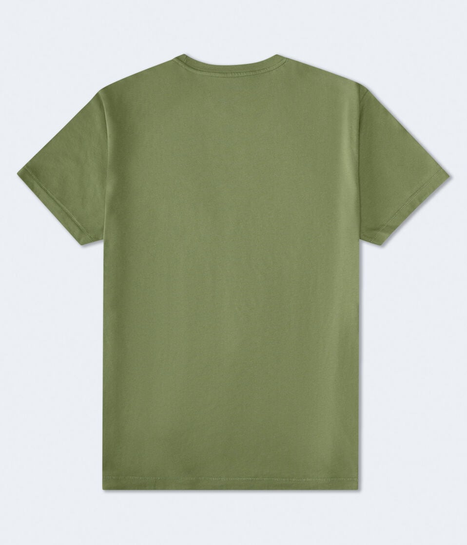 Aéropostale Aeropostale Laurel Circle Flocked Graphic Tee Eucalyptus